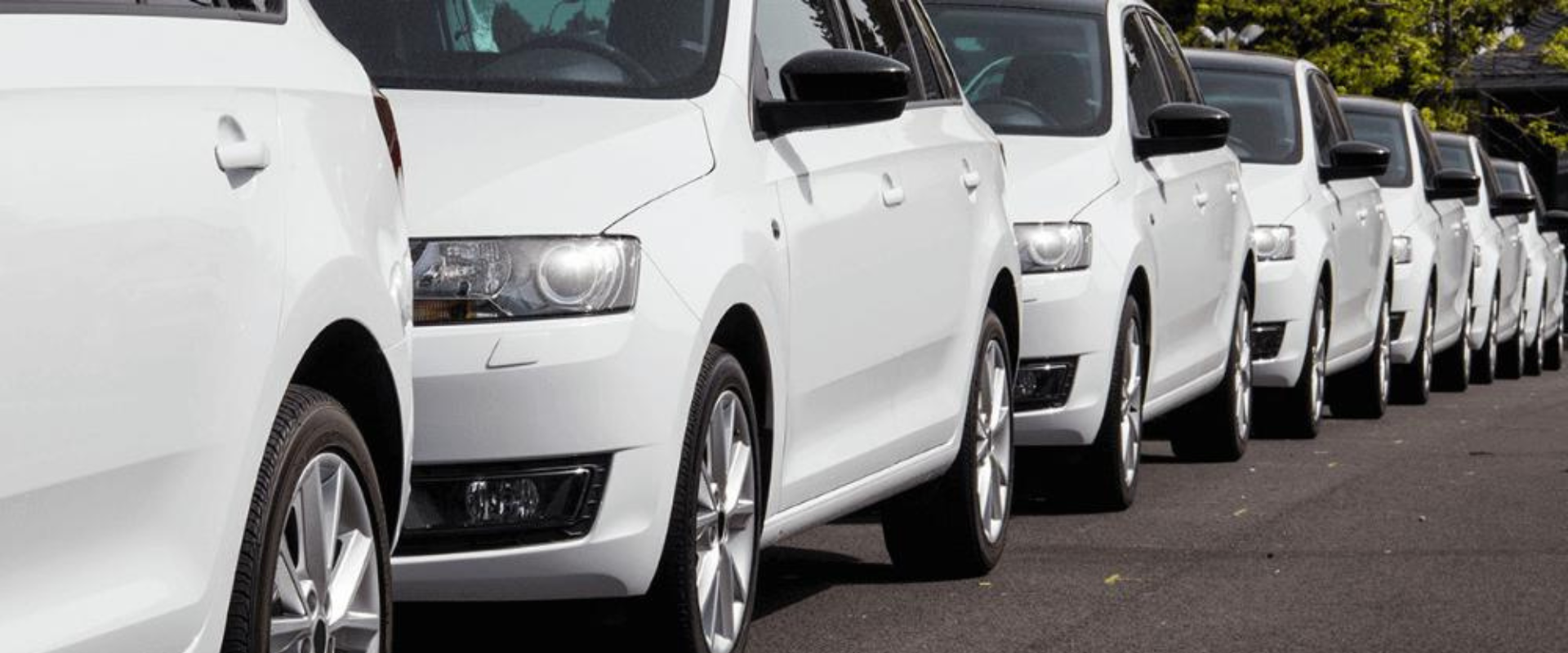 leasing operativo en Avis 